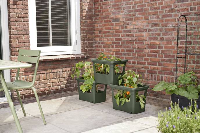 green basics stack & grow large laubgrün